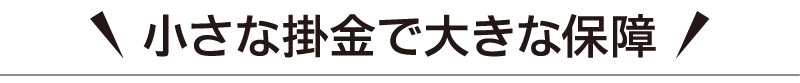 小さな掛金で大きな保障