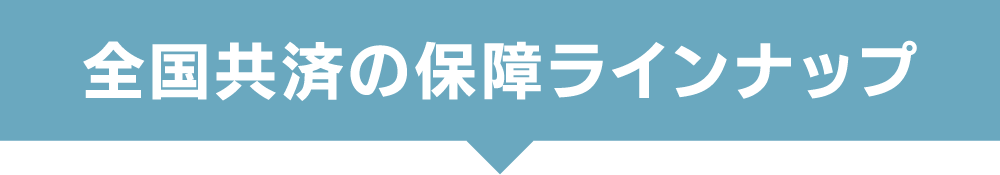 全国共済の保障ラインナップ